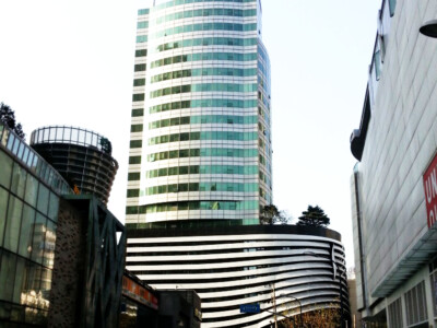 锦江向阳大厦