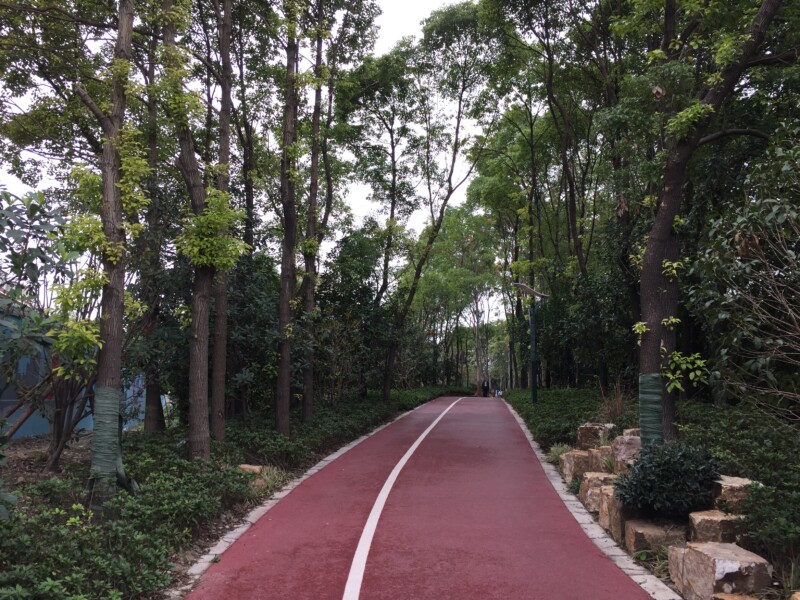 泰德科技园（园区-健步道）007
